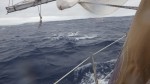 沖縄本島の備瀬崎が見えてきた