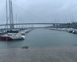 8/15,12時　田尻マリーナ巡回