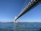 11/20～11/22　九州から大阪への回航航海を実施