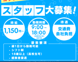 青木ヨット・スタッフ募集！