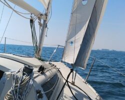 8月30日（土）体験セーリングin田尻