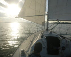 11/16　セーリングクラブ　東京校で開催しました。