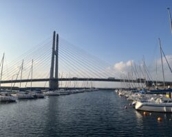 1/5 田尻マリーナ巡回報告