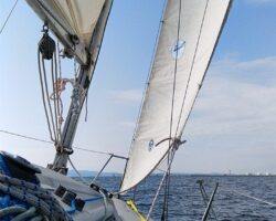 3月15日（日）セーリングクラブin田尻